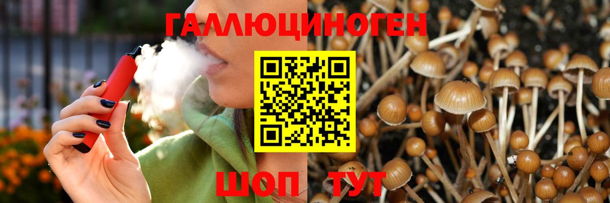 Галлюциногенные грибы Psilocybe  Псилоцибиновые грибы мухоморы  Архангельск  что такое   Вход с VPN 